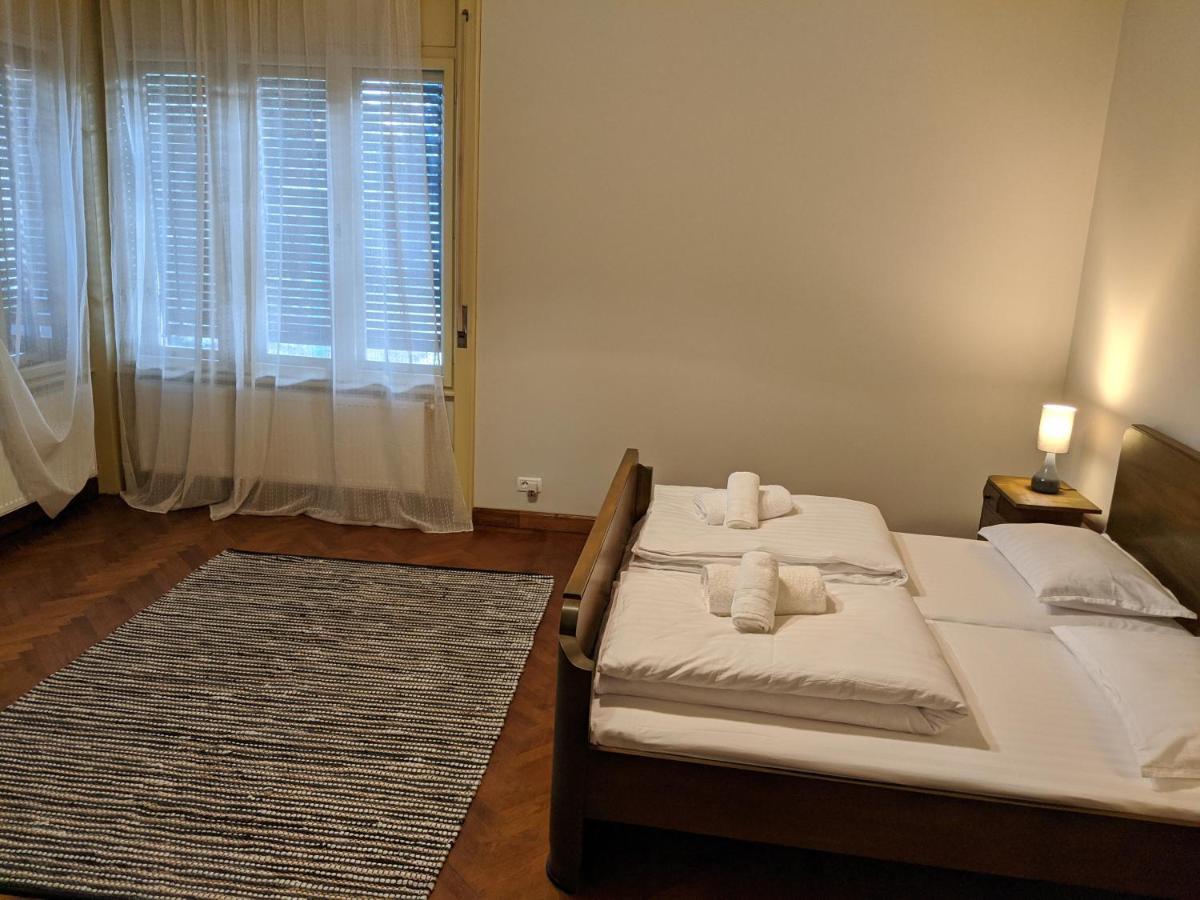 Cristian Apartment Near Old Town ティミショアラ エクステリア 写真