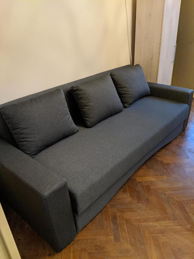 Cristian Apartment Near Old Town ティミショアラ エクステリア 写真